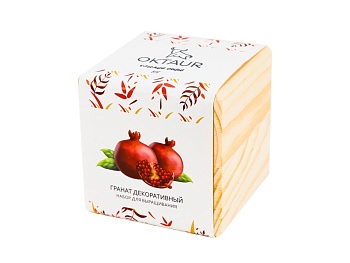 Набор для выращивания Big village cube Гранат комнатный