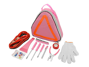 Набор Автоледи, розовый