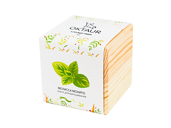 Набор для выращивания Big village cube Мелиса Мохито