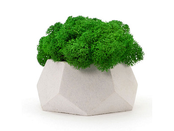 Кашпо бетонное со мхом (альфа-циркон мох зеленый), QRONA