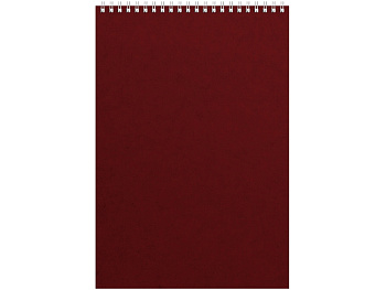 Бизнес - блокнот Альт А4 (198 х 285 мм) Office 60 л., бордовый