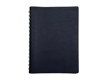 Ежедневник полудатированный А5 Orbit, синий
